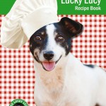 Llf Cookbook Vol 1