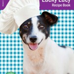 Llf Cookbook Vol 2